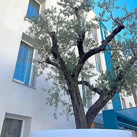 Biancodonda Greenblu & Hotel